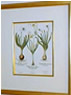 Carolyn Thornton Framing